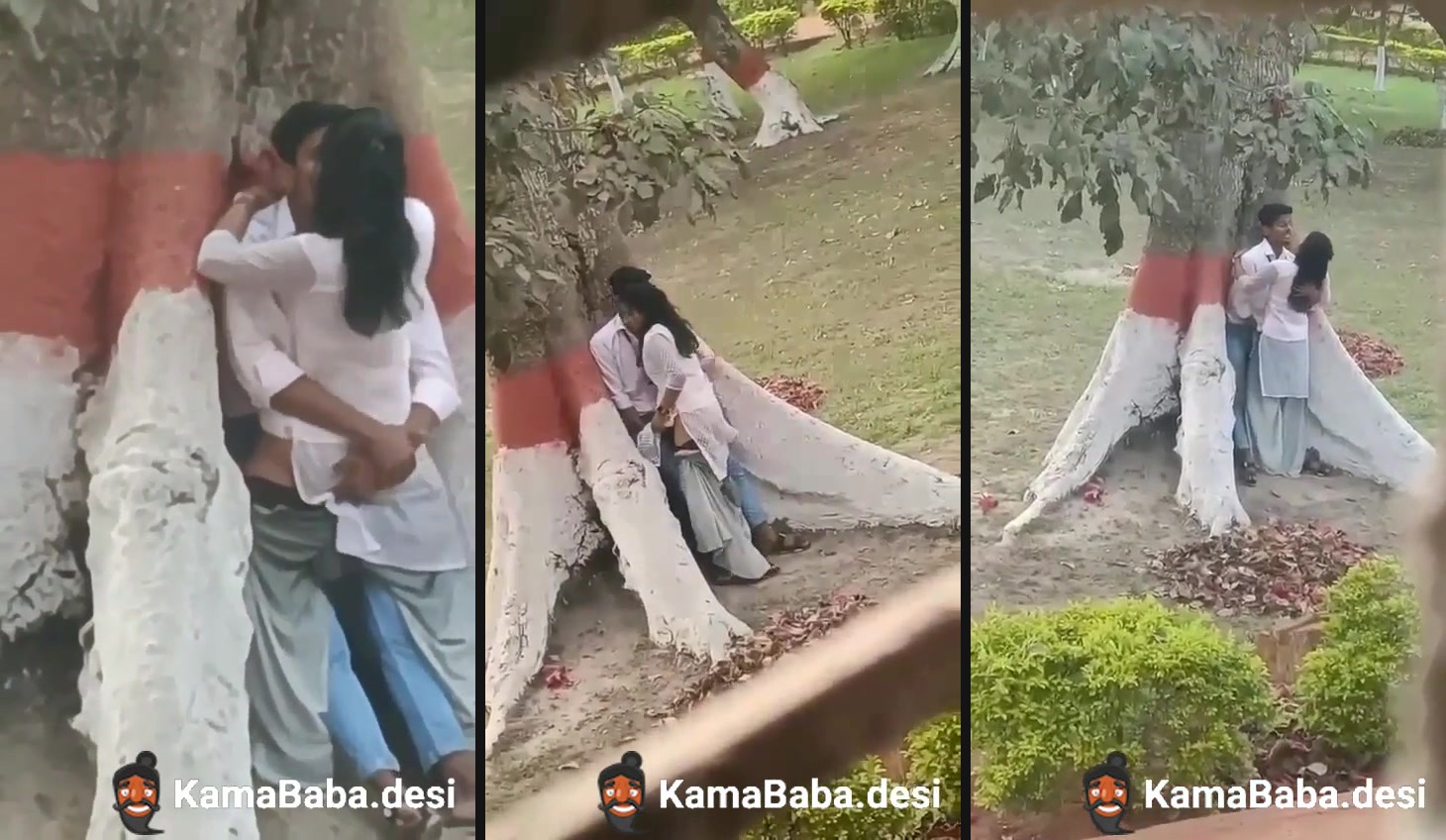 College couple enjoys outdoor sex below a big tree