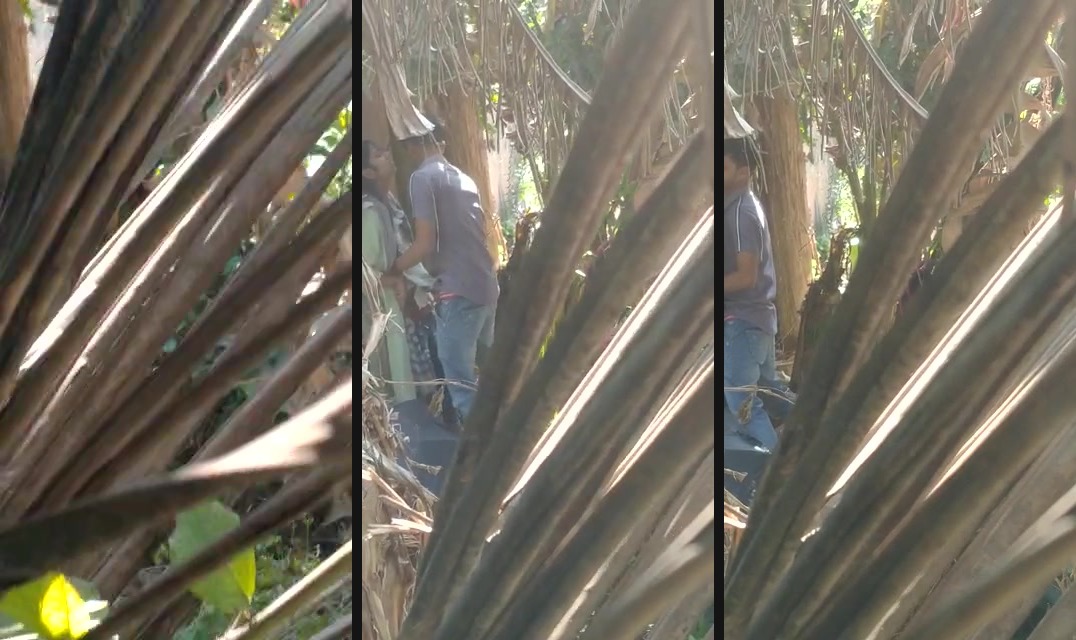 Desi lovers outdoor masti sex spy MMS video | Watch hot sexy spy MMS on young desi lovers enjoying masti sex. This guy peeps in to see two desi lovers enjoying sex outdoor in the backyard.