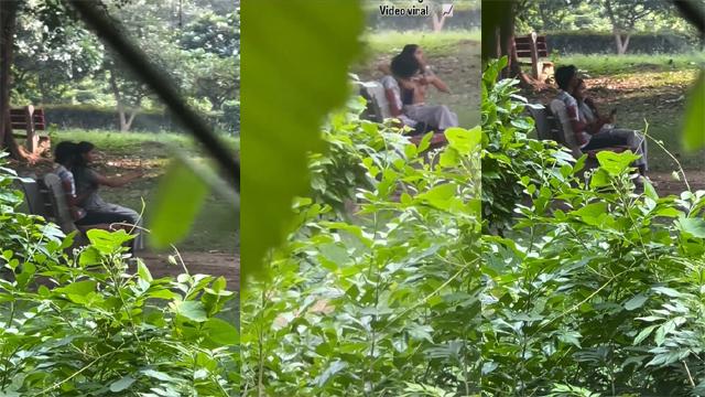 Delhi College Couple Erotic Romance In Park Goes Viral - Sri Lankan HD Video