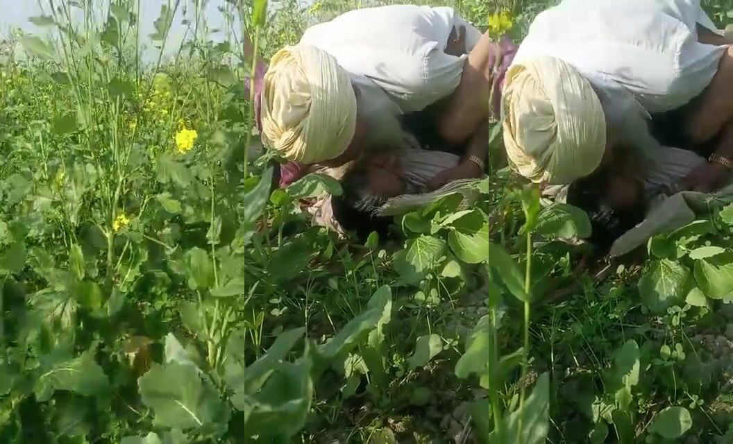 Haryanvi village mature old man sex scandal in farm