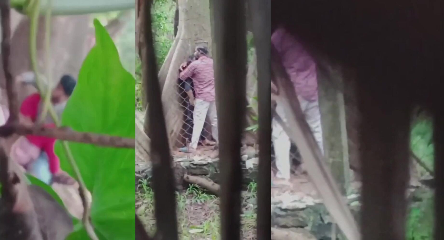 Indian couples exclusive outdoor sex viral porn clips