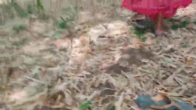 Indian village bhabhi and her secret lover spicy outdoor chudai