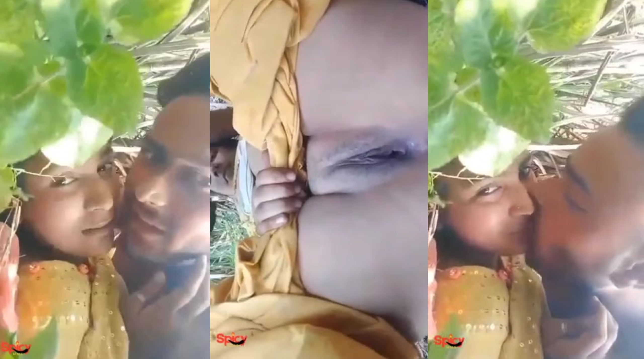 Jalandhar Punjabi Girl Quick Sex With Lover In Farm