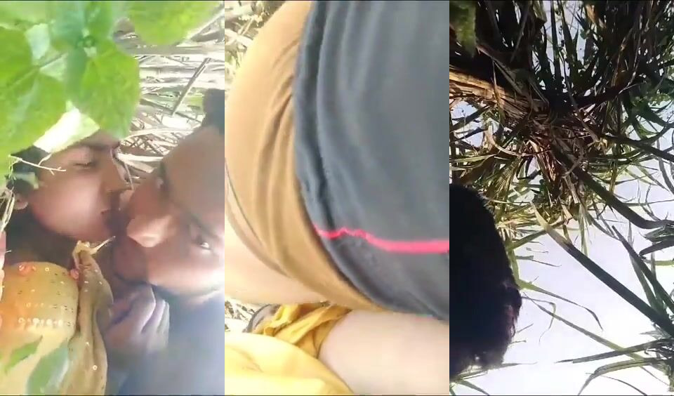 Punjabi village lovers viral hot chudai in farm