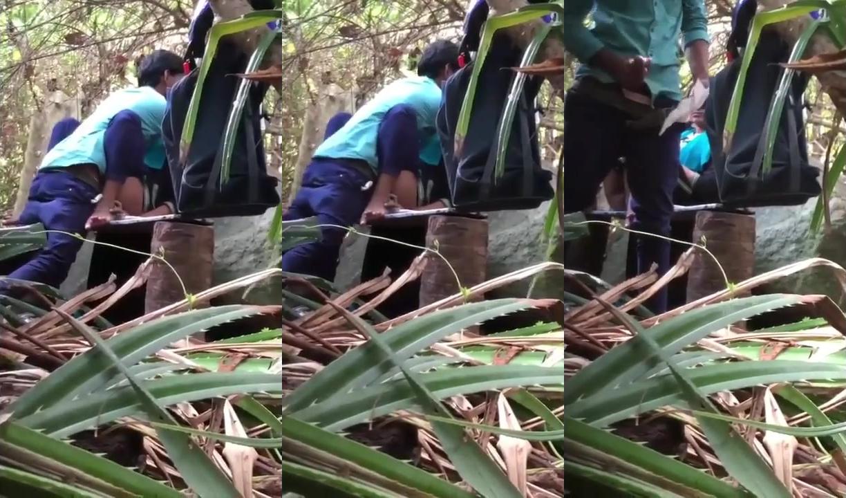 sinhala couples leak vid6 | SinhalaHub - Watch Sinhala Video